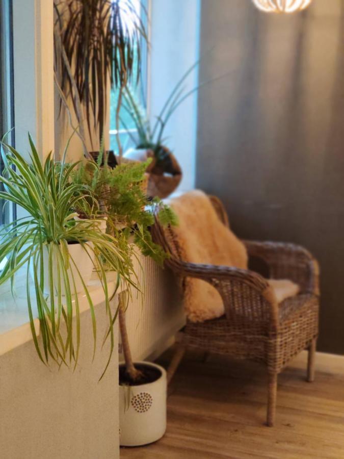 Family House Hotell Druskininkai Eksteriør bilde