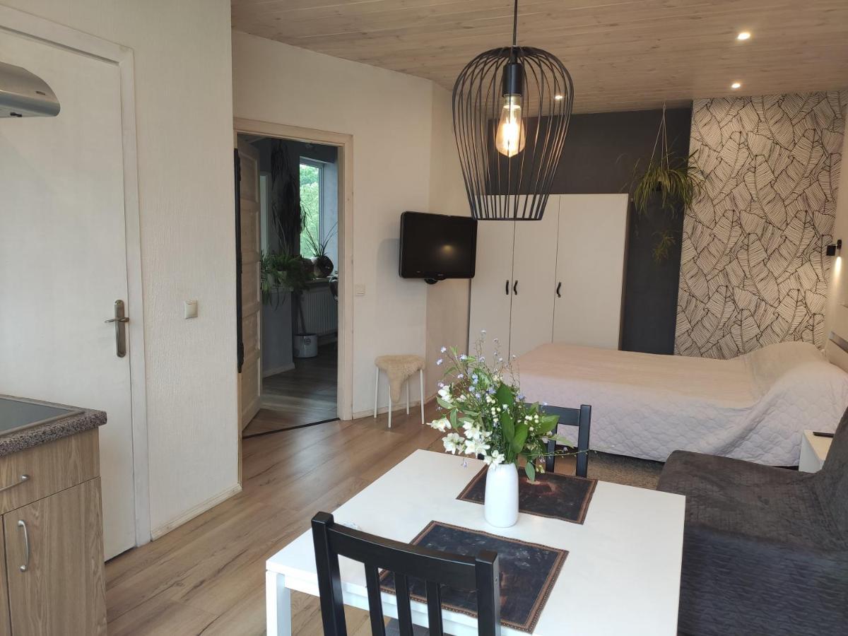 Family House Hotell Druskininkai Eksteriør bilde